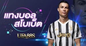 เว็บแทงบอลสโบเบ็ต